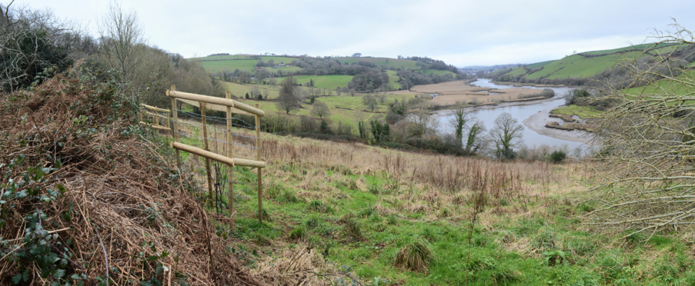 Rewilding at Sharpham in January 2022
