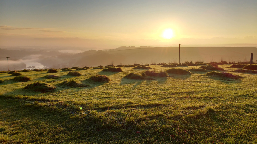 Burials landscape at Sharpham Trust