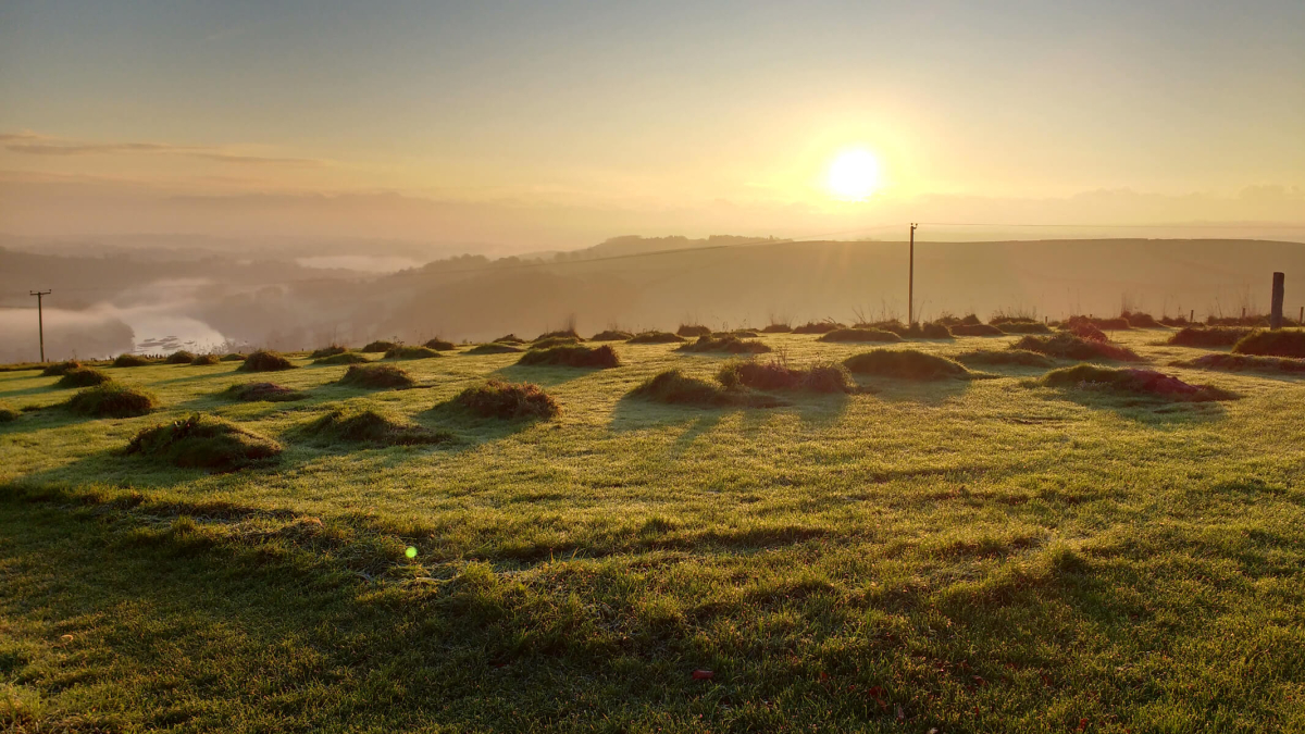 Burials landscape at Sharpham Trust