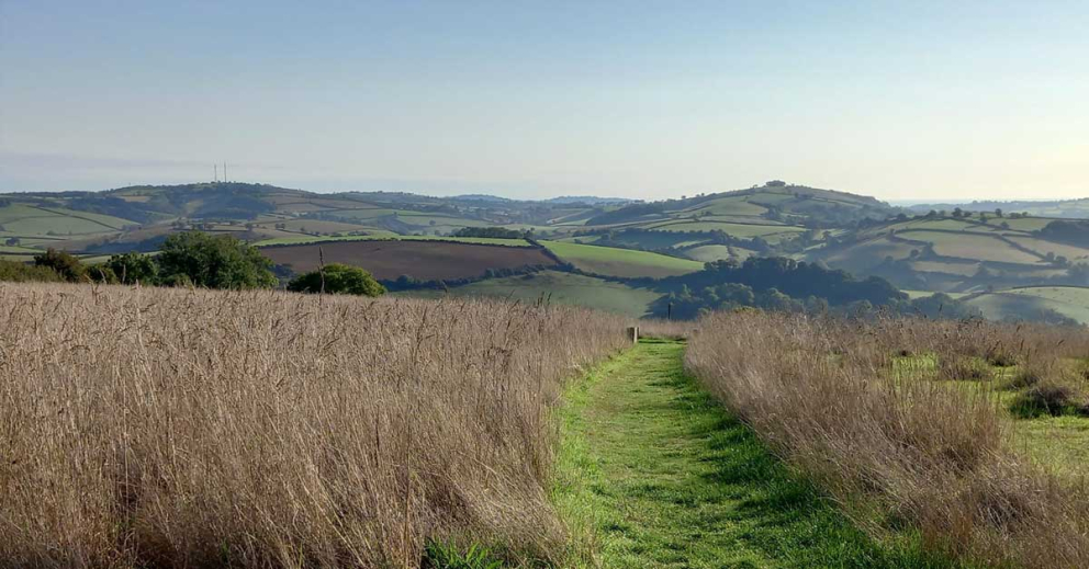 Sharpham Meadow natural burial ground