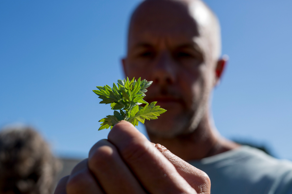 Mindfulness in Nature