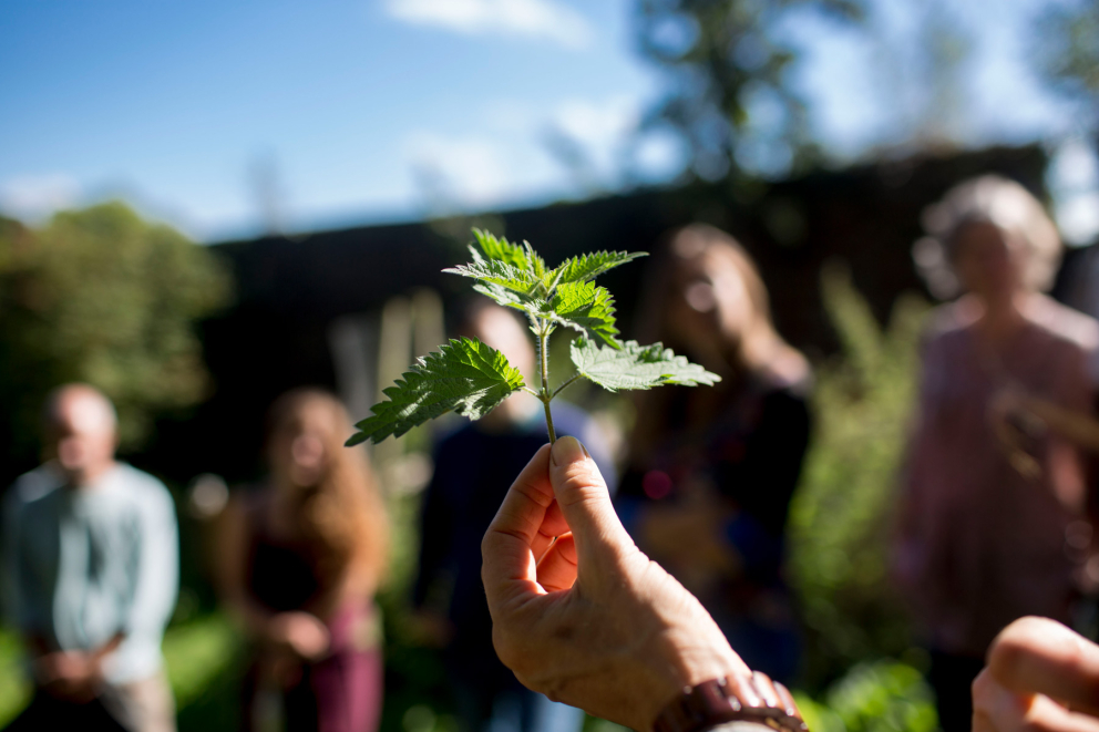 Mindfulness in Nature