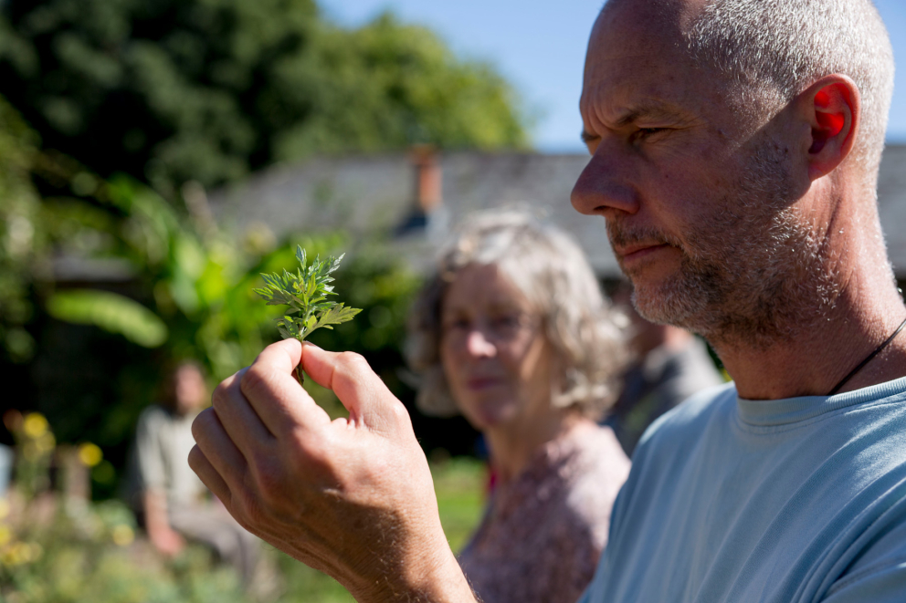 Mindfulness in Nature