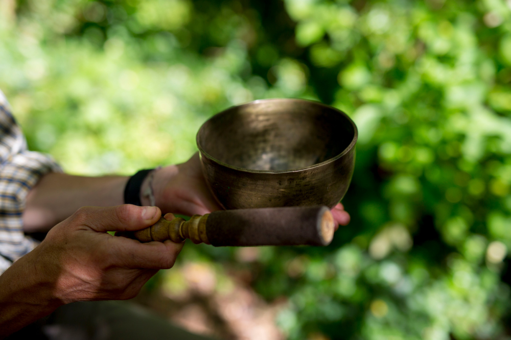 Mindfulness in Nature