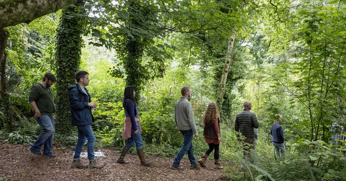 MIN people walk in the woods