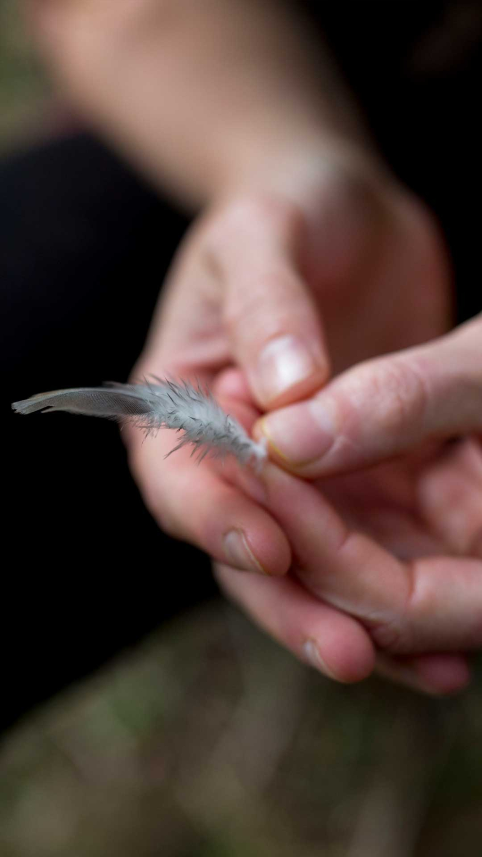 Learn nature-based mindfulness and meditation skills on our MBNCT training course