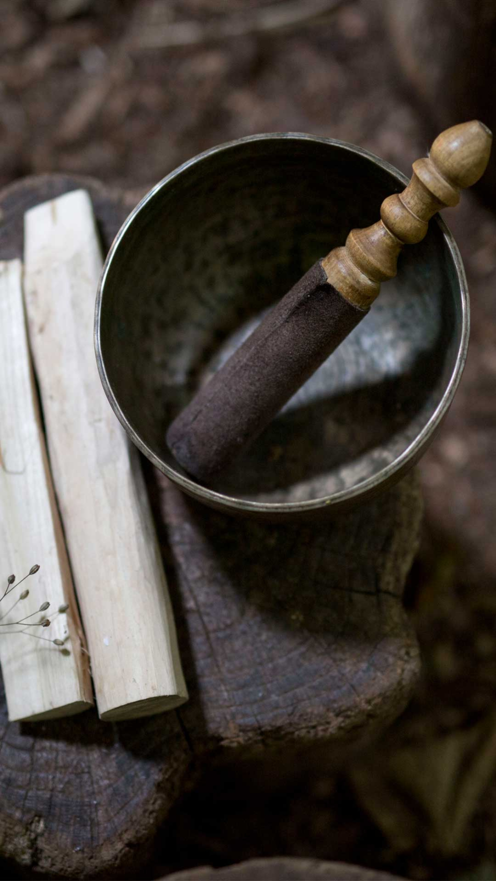 Learn nature-based mindfulness and meditation skills on our MBNCT training course