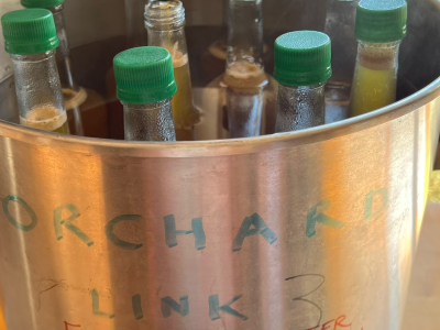 10. Some of the juice will be pasteurised before being stored, ready for guests on Sharpham Trust retreats to drink throughout the coming year