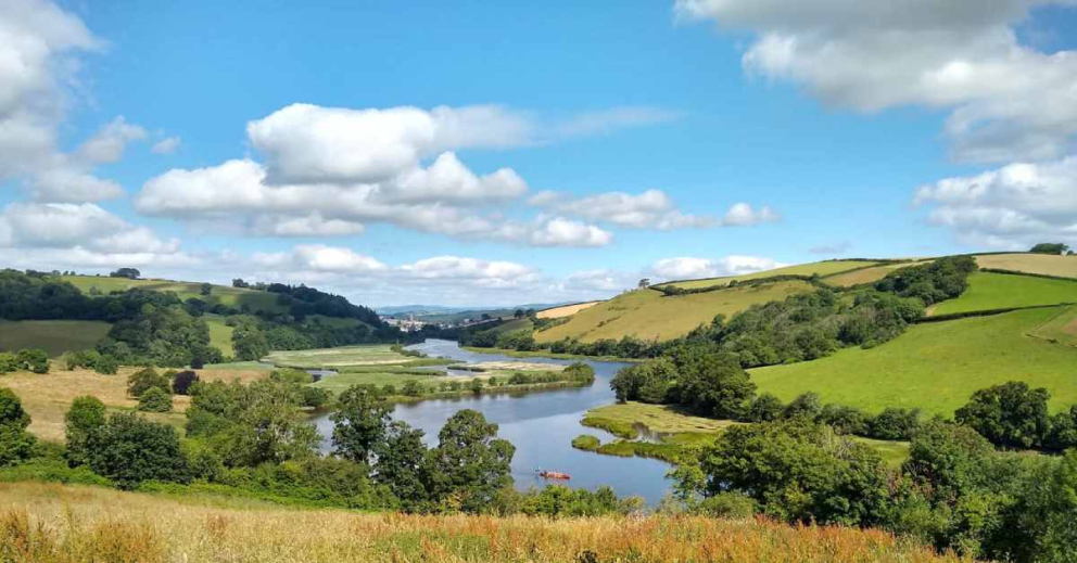 A Canoe Adventures canoe on the River Dart, view from Sharpham's rewilding fields