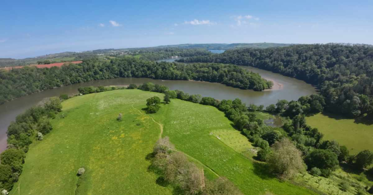 The rewilded Mindful Meadow in front of Sharpham House from the air