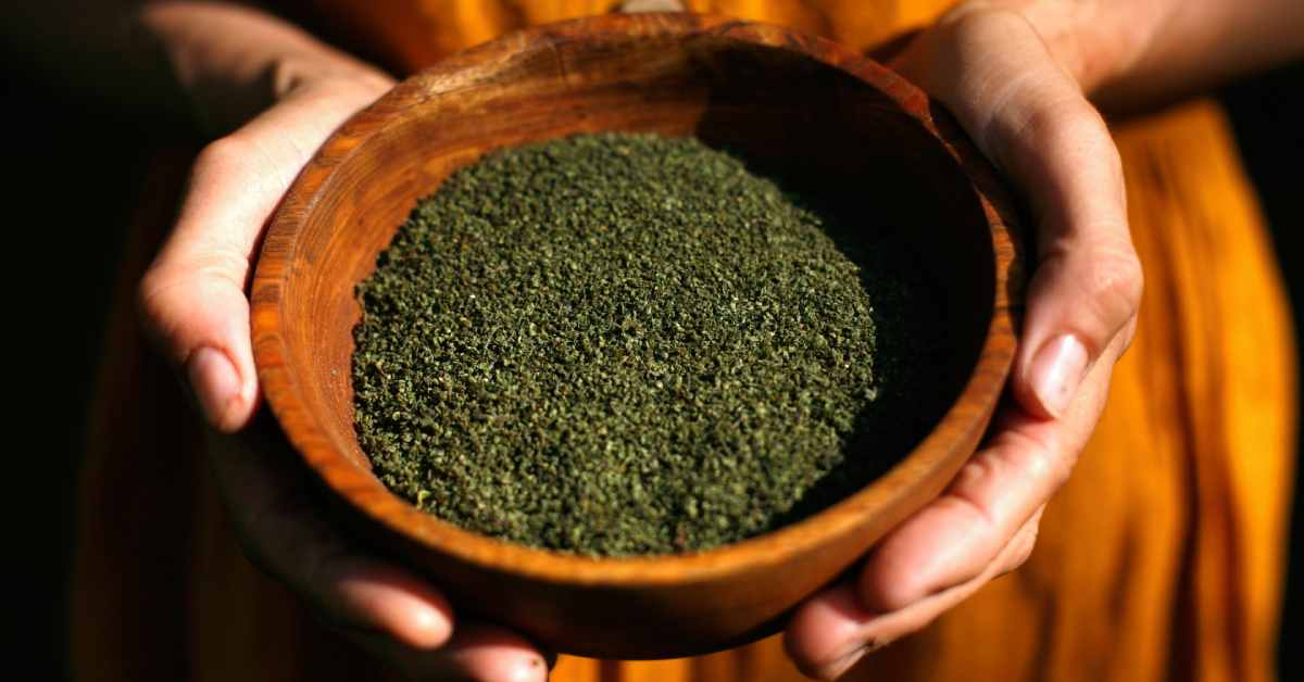 Nettle seeds foraged by our resident forager Brigit-Anna McNeill