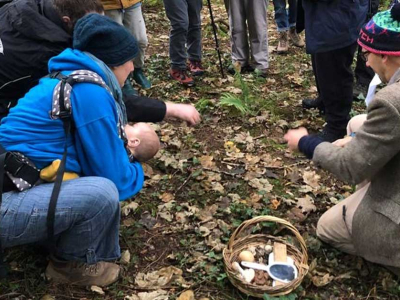 Fungi Quest at The Sharpham Trust