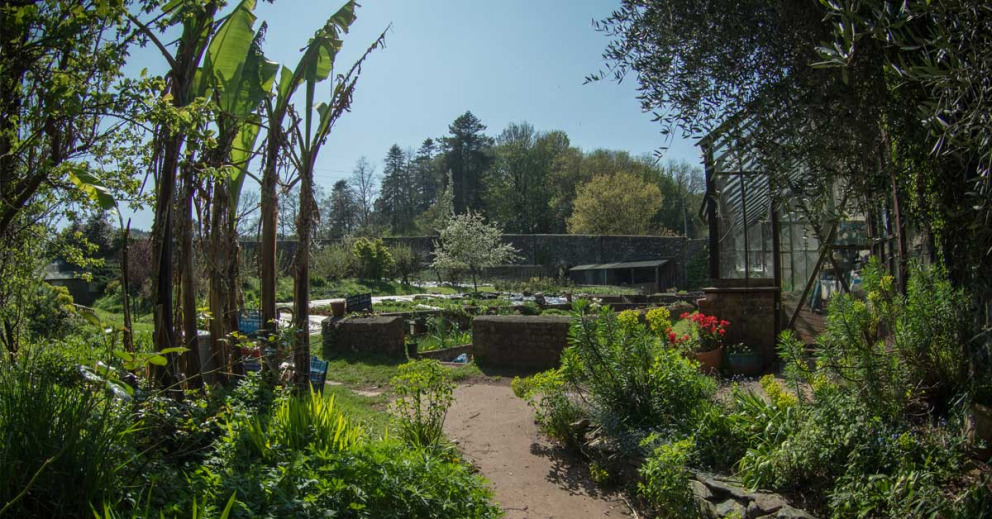 Inside the Walled Garden at The Sharpham Trust mindfulness retreat centre