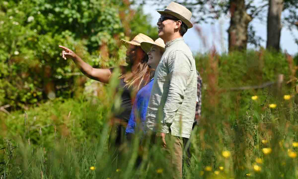 People in rewilding field with wildflowers around