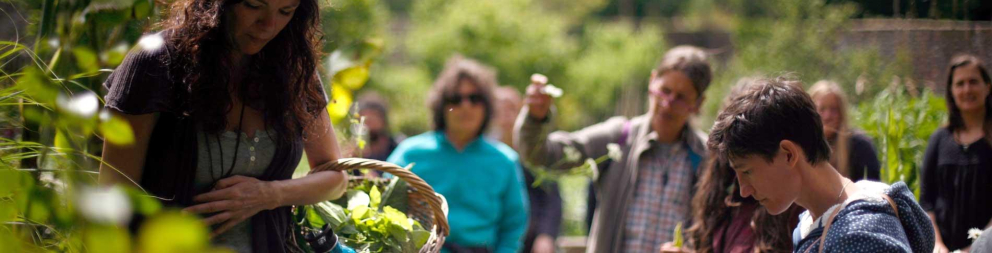 Foraging Courses Devon | View Dates | The Sharpham Trust