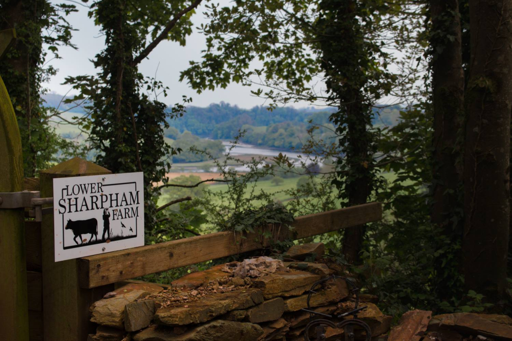 Lower Sharpham Farm
