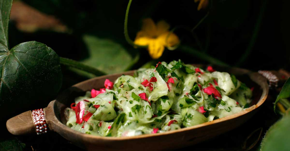 Our Food Reviews