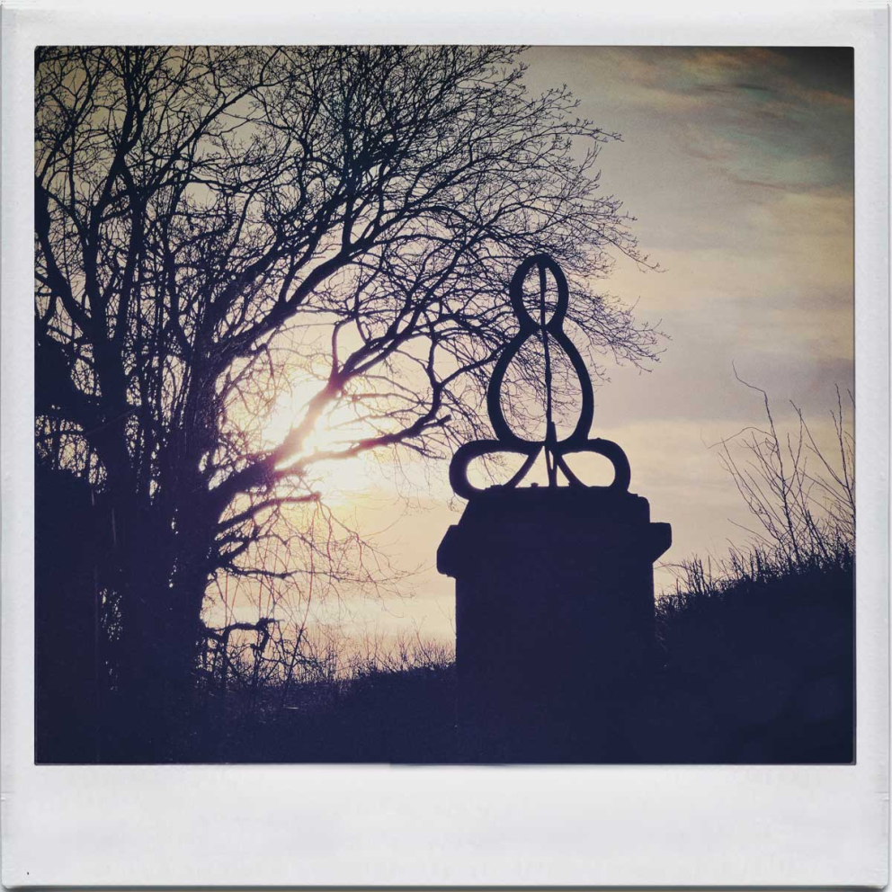 Winter trees & landscape at The Sharpham Trust