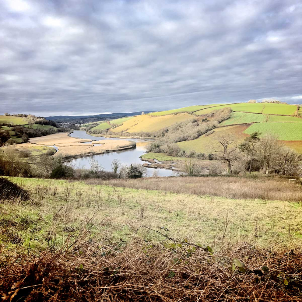 Winter trees & landscape at The Sharpham Trust
