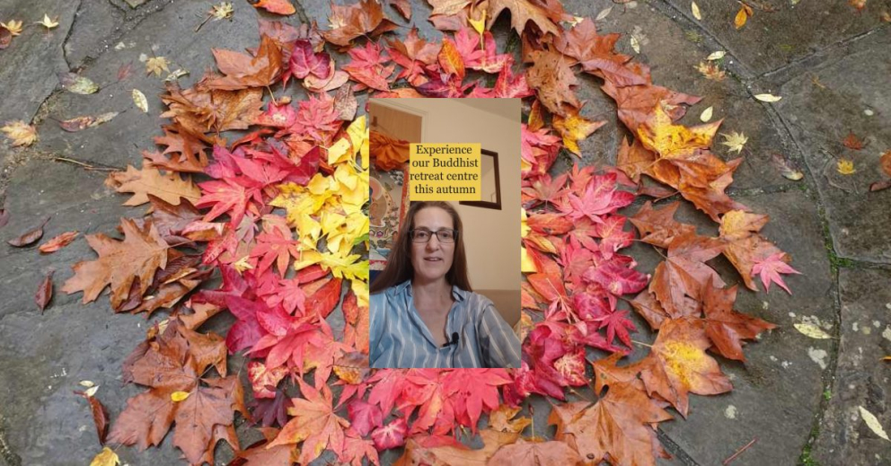 Visit our Buddhist meditation retreat centre this autumn, says Tasha