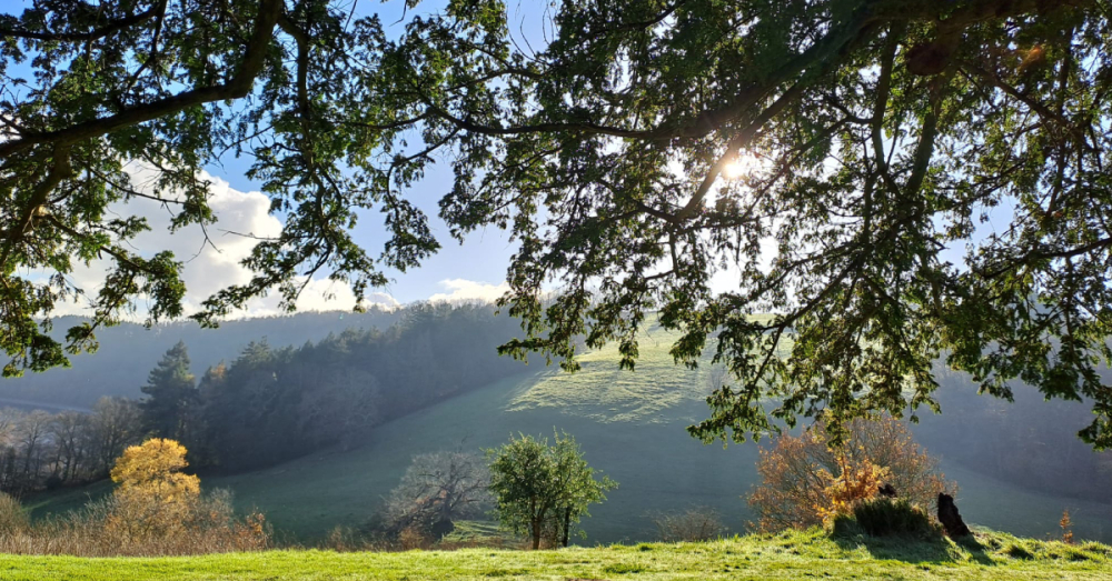 Winter in the grounds of Sharpham House