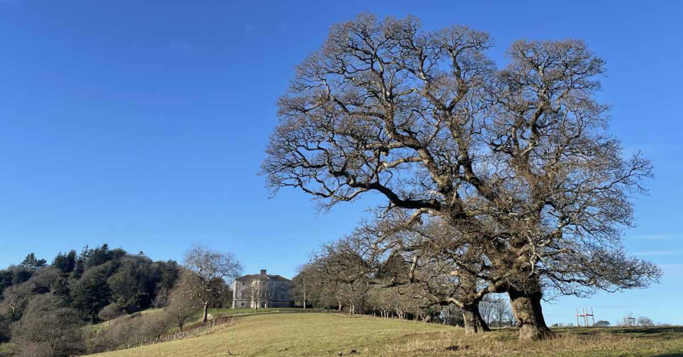 Sharpham House from the Mindful Meadow on one of those beautiful, blue-sky winter days