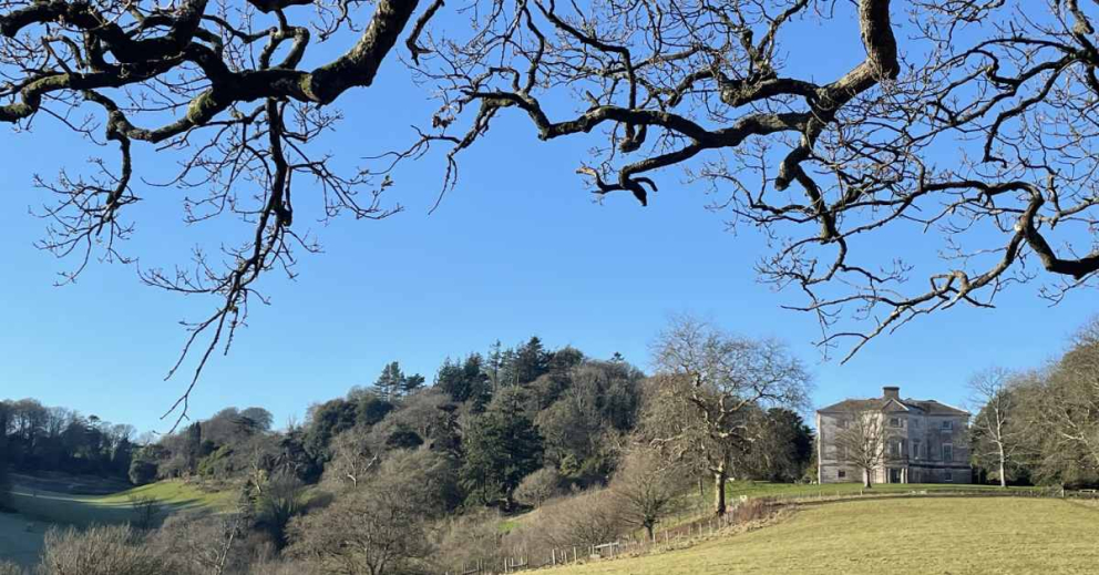 Sharpham House from the Mindful Meadow on one of those beautiful, blue-sky winter days
