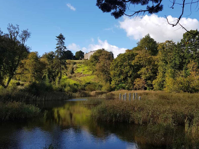 Sharpham House from the Reflecting Pool on The Sharpham Estate