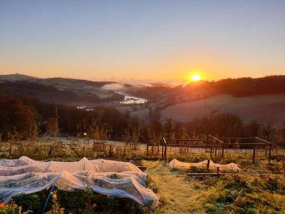 Frosty winter sunrise at The Barn retreat centre on the Sharpham Estate