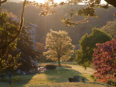 Trees surround Sharpham House and grounds