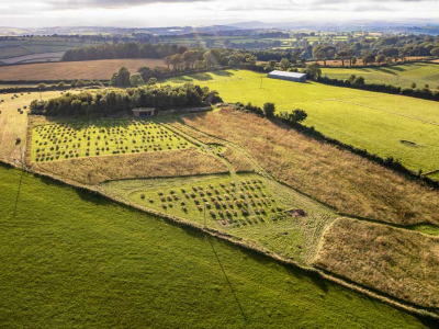 Sharpham Meadow, our natural burial ground