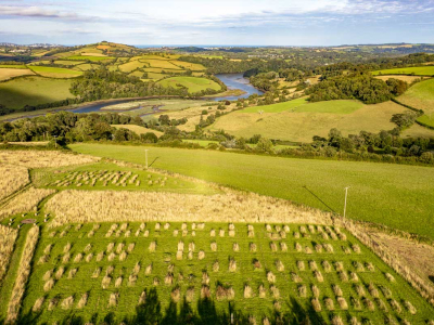 Sharpham Meadow, our natural burial ground