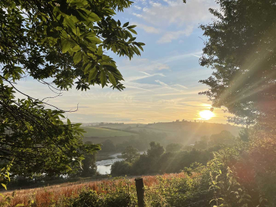 View of the River Dart over our rewilding fields