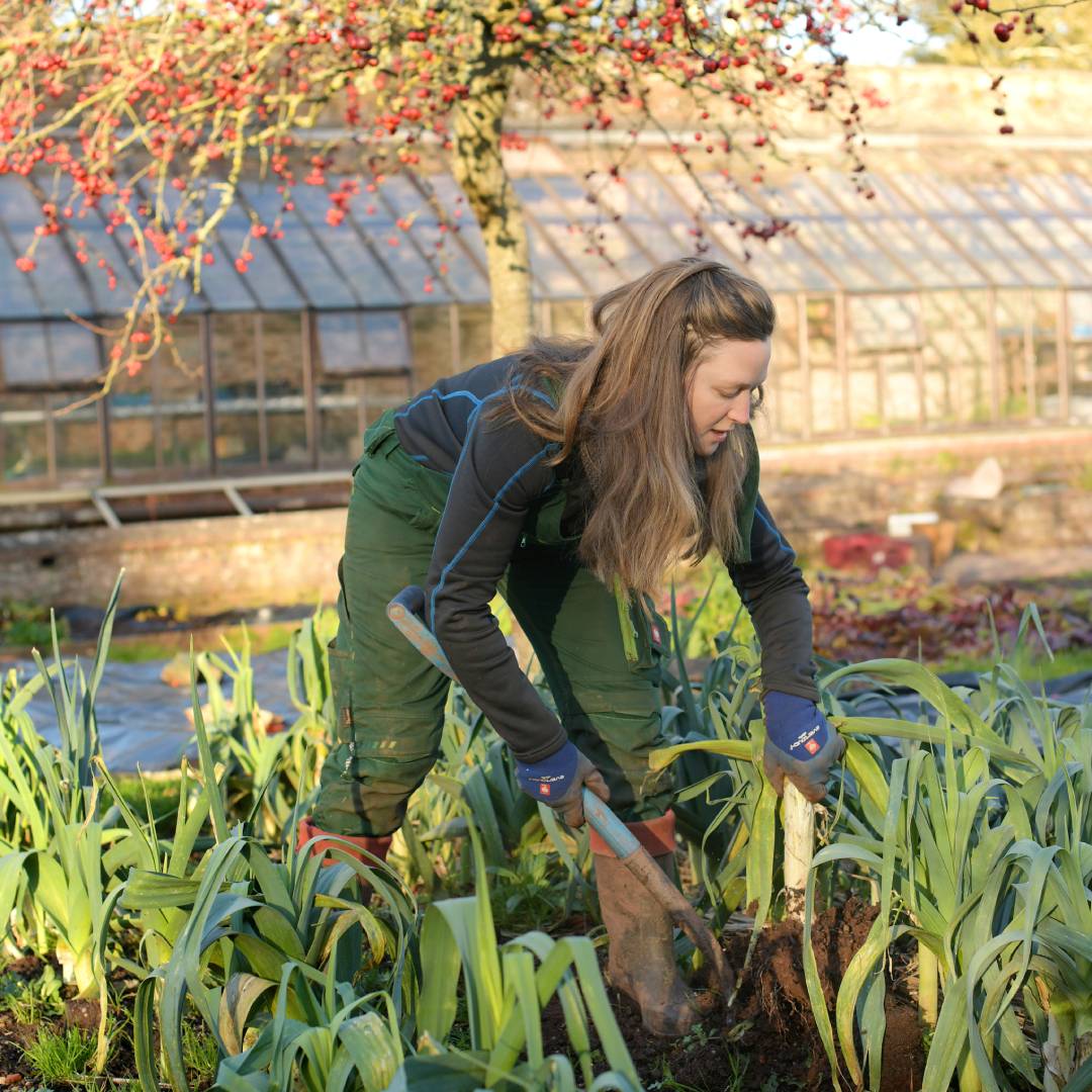 Sybille Pouzet, Sharpham House cook
