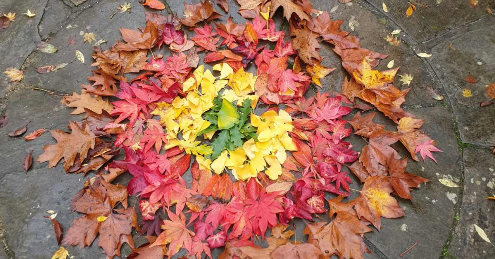 A mandala of colourful autumn leaves to illustrate our Buddhism & Systems Thinking retreat at The Barn at The Sharpham Trust