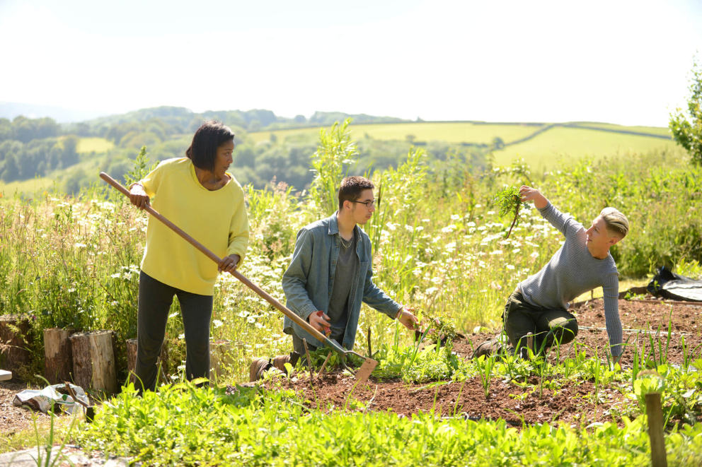 Barn Retreat 6 Nights