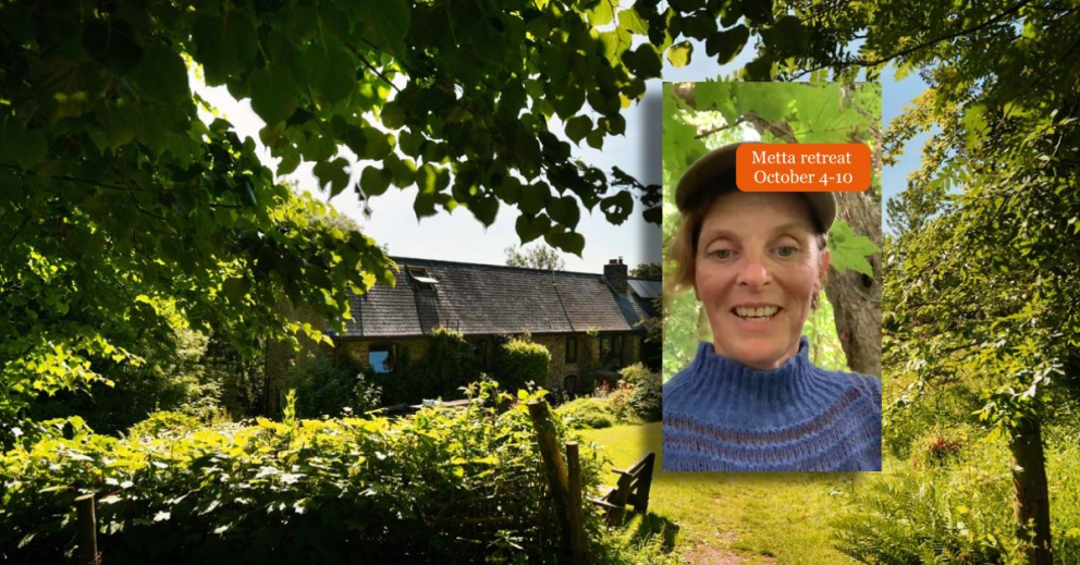 Our next Dharma Pathway meditation retreat at The Barn retreat centre at The Sharpham Trust is on the subject of metta and is led by Lindsay Alderton