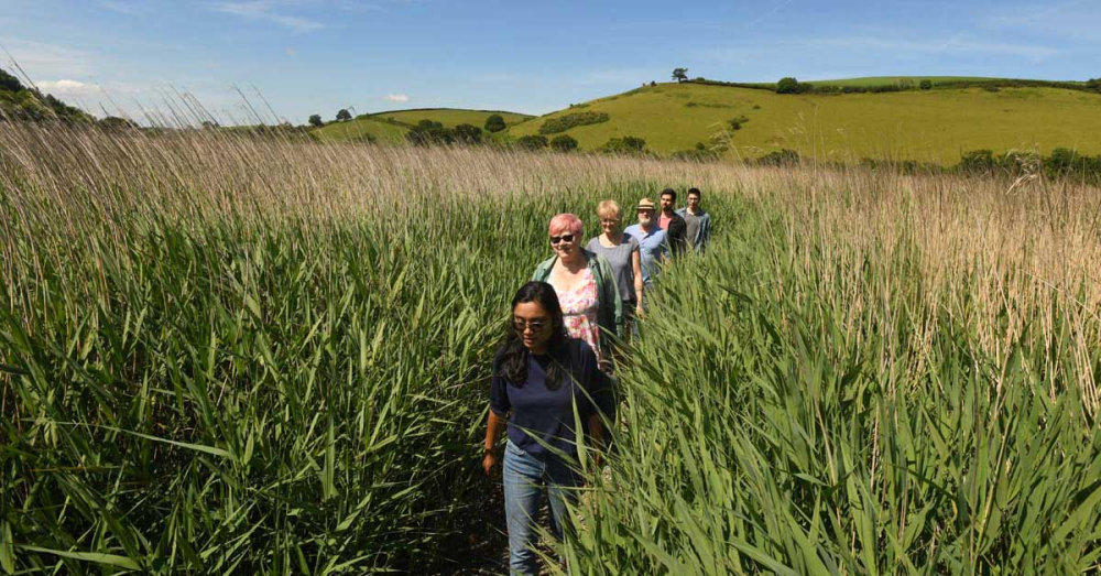 Dharma Pathway retreats at The Barn at Sharpham