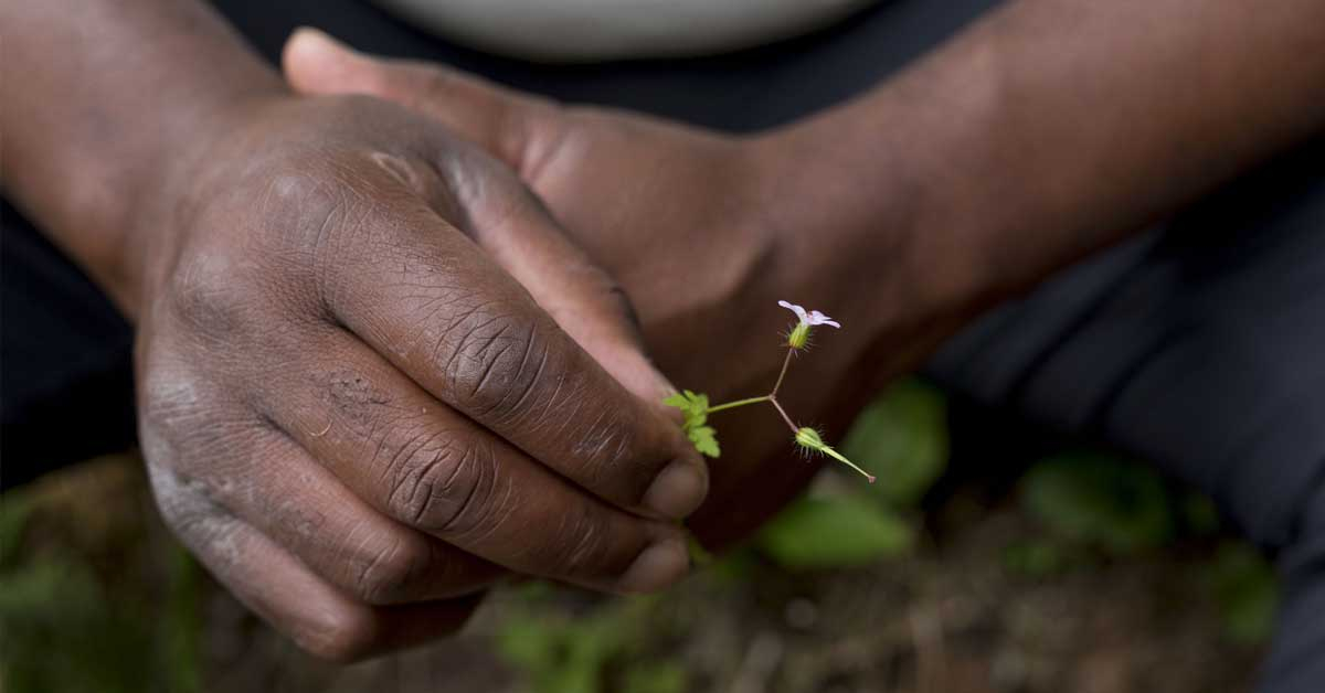 Refuge & belonging - a BPOC retreat at The Barn