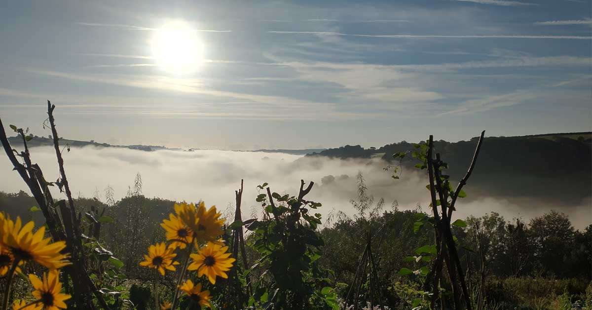 Working with Emotions - a Buddhist retreat at The Barn at Sharpham