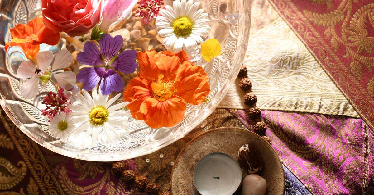 Training in Tenderness - a metta meditation retreat at The Barn at Sharpham