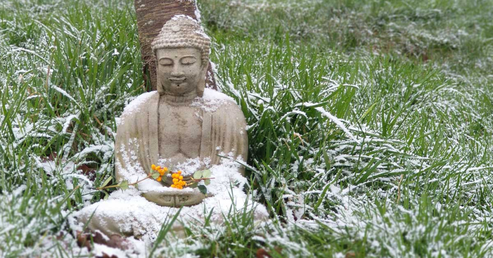 The Buddha in winter