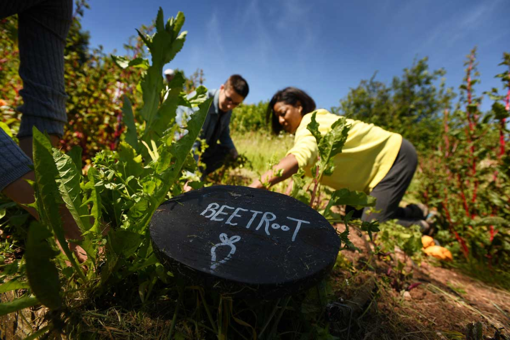 Retreats on the mindful gardening retreat at The Barn at The Sharpham Trust