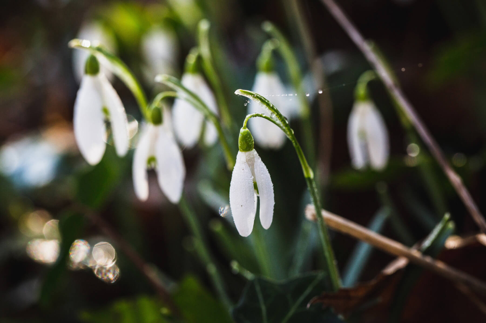 Barn Retreat New Year
