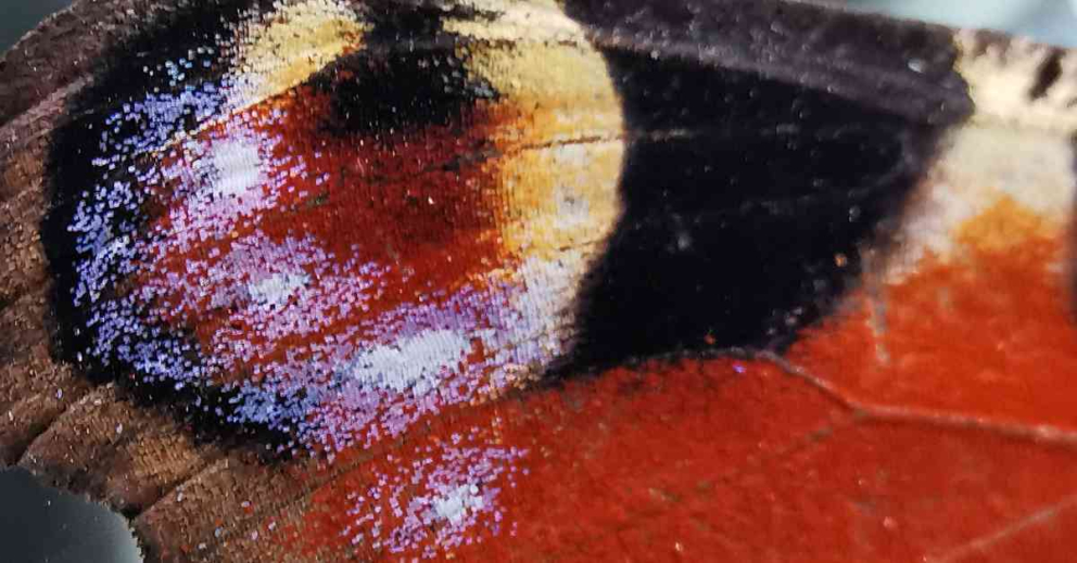 Transformation and Healing: a 6-night Buddhist retreat at The Barn with Vari McLuskie