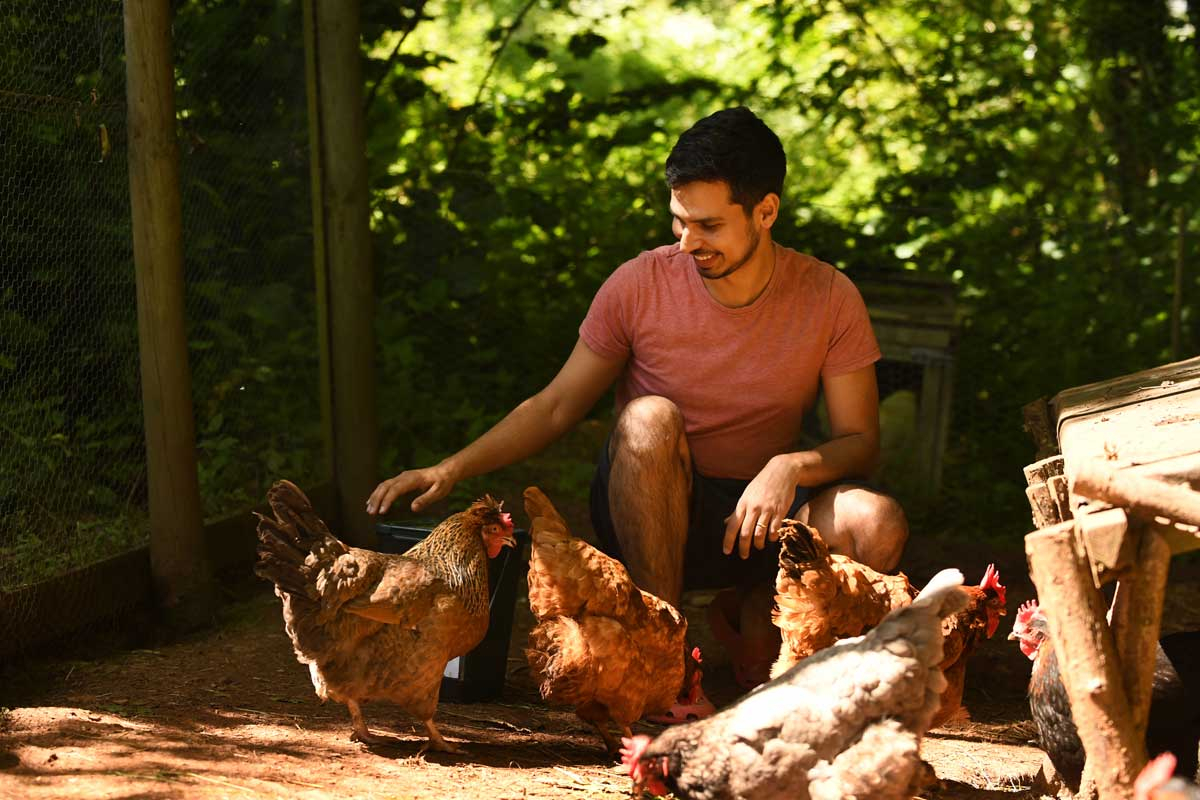 Buddhist retreat for young people at The Barn at The Sharpham Trust