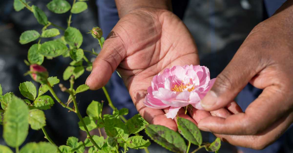 BPOC retreat for people of colour at The Sharpham Trust