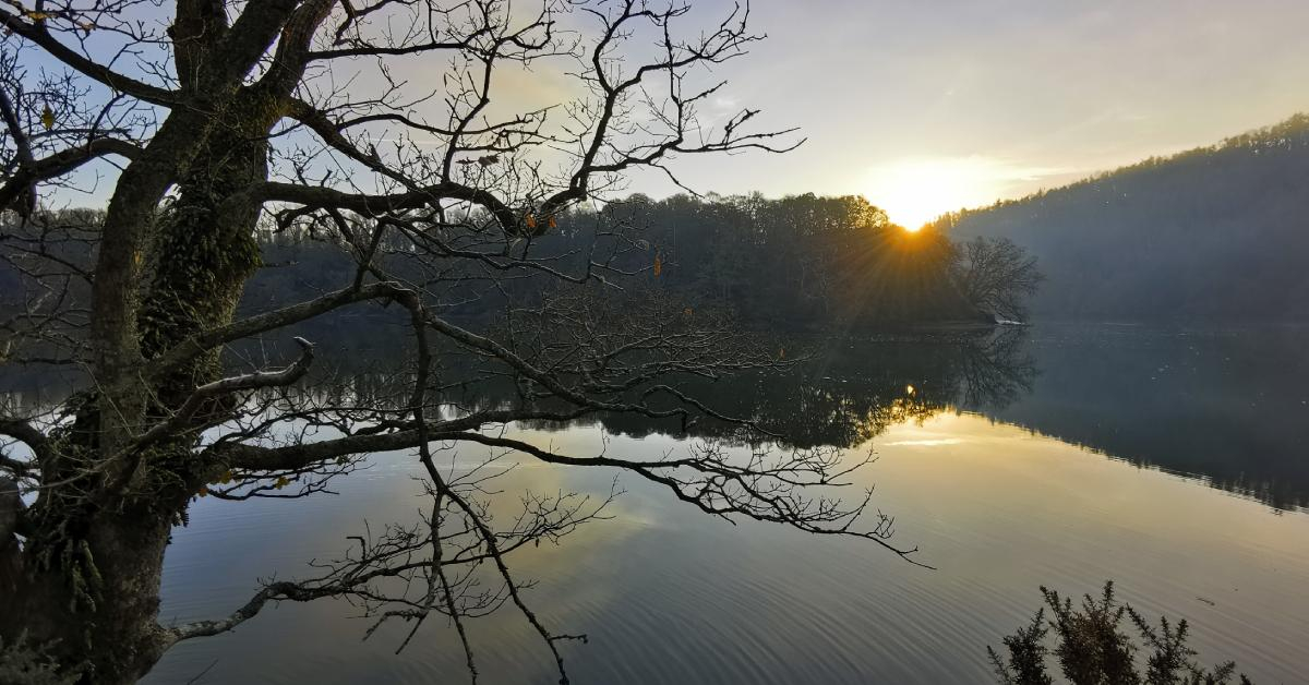 From Burnout to Balance - a restorative journey of mindfulness and retreats at The Sharpham Trust