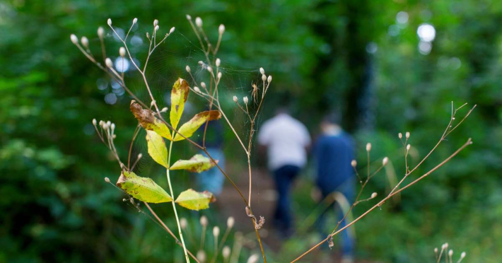 Use nature meditation and mindfulness practices when you come on retreat at The Sharpham Trust