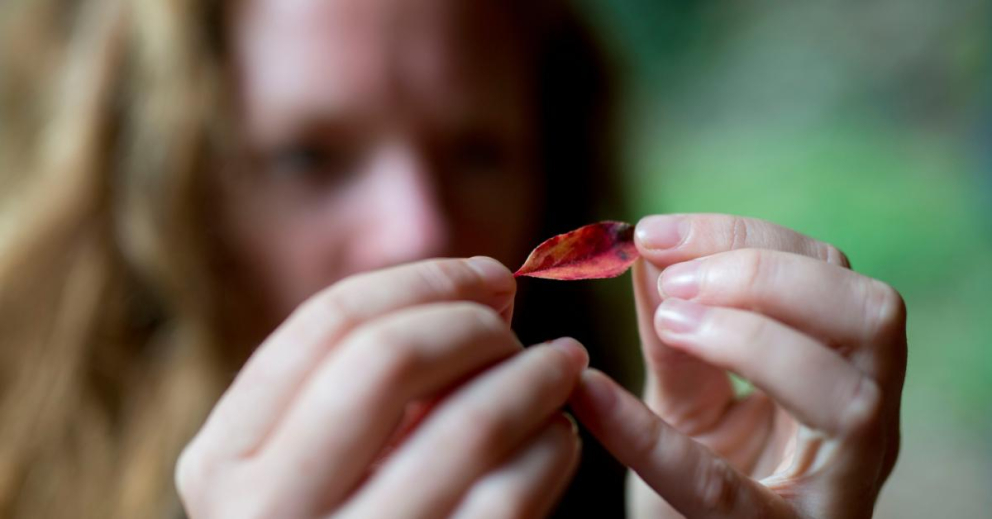 Learn how nature mindfulness on retreat at Sharpham can assist you if you're anxious or suffering depression and low mood